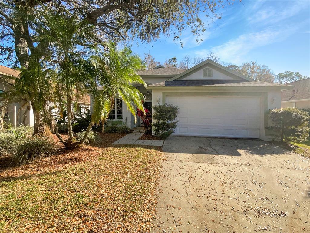 Picture of 11823 Derbyshire Drive, Tampa, FL 33626