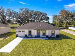 Picture of 15160 SE 61St Court, Summerfield, FL 34491