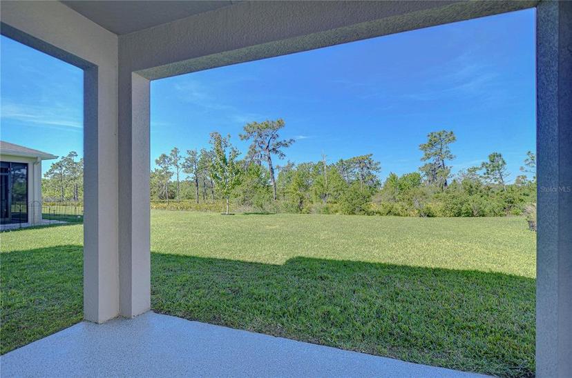 Picture of 5325 Thistle Field Court, Wesley Chapel FL 33545