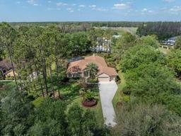 Picture of 428 Pine Bluff Drive, Lutz, FL 33549