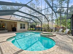Picture of 428 Pine Bluff Drive, Lutz, FL 33549