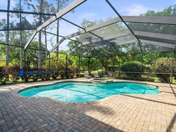 Picture of 428 Pine Bluff Drive, Lutz, FL 33549