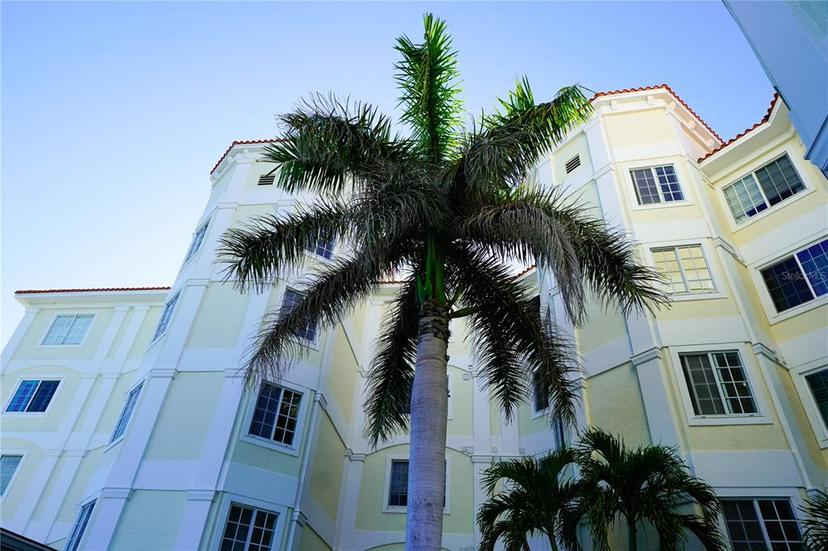 Picture of 1860 N Fort Harrison Avenue Unit 301, Clearwater FL 33755