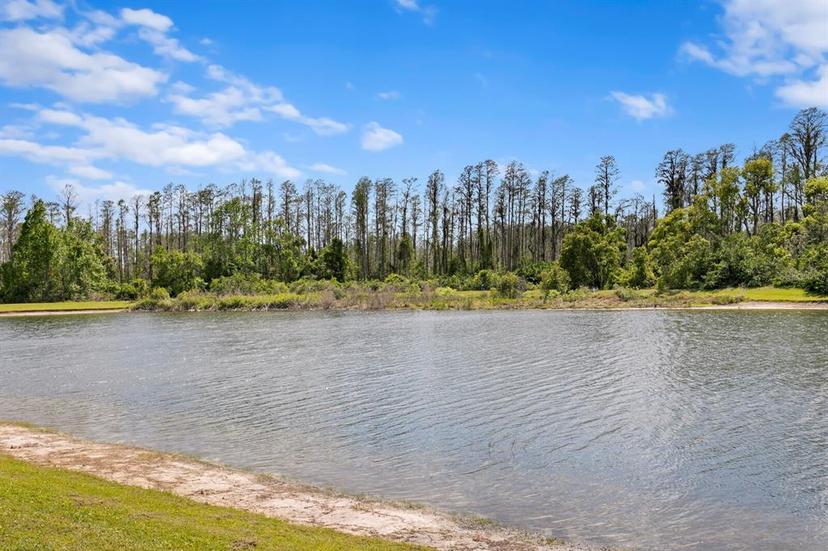 Picture of 5535 Shasta Daisy Place, Land O Lakes FL 34639