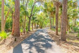 Picture of 2646 Turnbull Bay Road, New Smyrna Beach, FL 32168