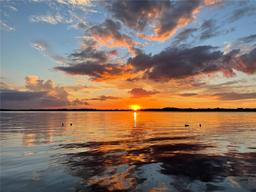 Picture of 550 George Street S, Tarpon Springs, FL 34688