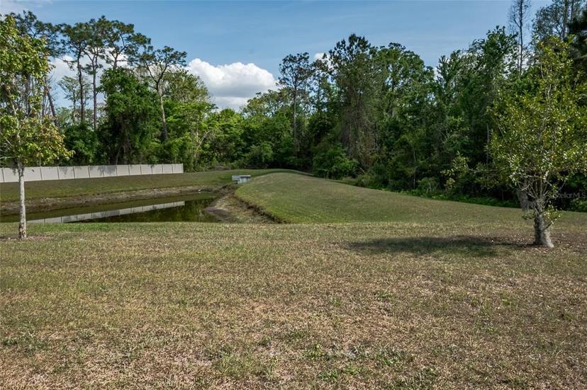 Picture of 12308 Chaya Court, Spring Hill FL 34610