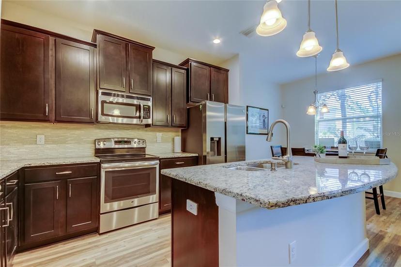 Picture of 13217 Canopy Creek Drive, Tampa FL 33625