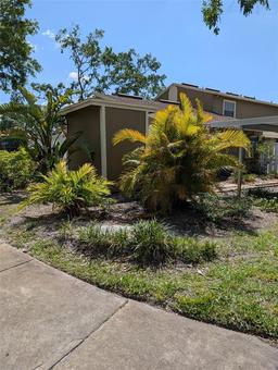 Picture of 7112 Eldorado Drive, Tampa, FL 33615