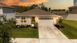 Picture of 9771 Brown Burrow Street, Orlando, FL 32829