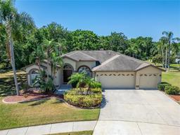 Picture of 10110 Vista Pointe Drive, Tampa, FL 33635