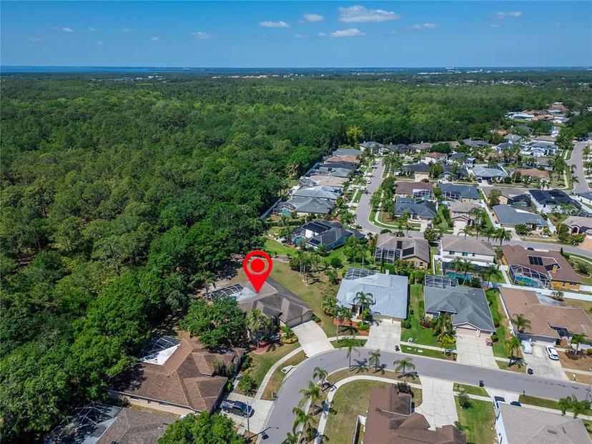 Picture of 10110 Vista Pointe Drive, Tampa FL 33635