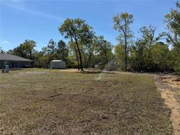 Picture of 4 Malauka Lane Drive, Ocklawaha, FL 32179