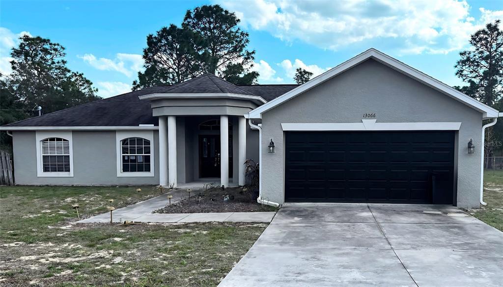 Picture of 13066 Painted Bunting Avenue, Weeki Wachee, FL 34614