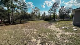Picture of 13066 Painted Bunting Avenue, Weeki Wachee, FL 34614