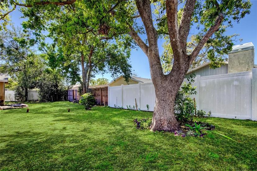 Picture of 10235 Maverick Street, New Port Richey FL 34654