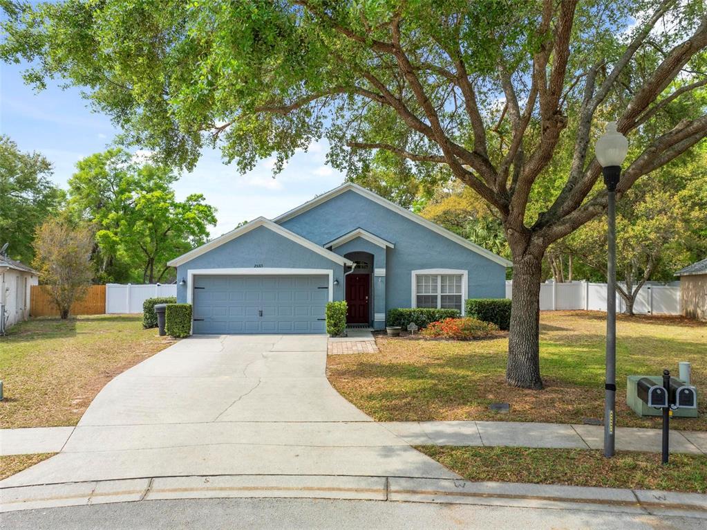 Picture of 25313 Ironwedge Drive, Mount Plymouth, FL 32776