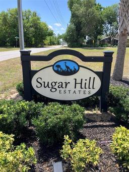 Picture of 12807 Sugar Court, Grand Island, FL 32735