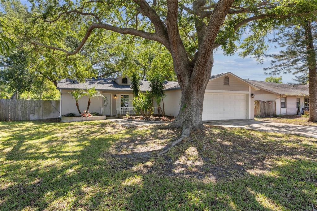 Picture of 1849 Diane Drive, Clearwater, FL 33759