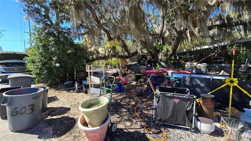 Picture of 603 Cypress Street, Tarpon Springs FL 34689