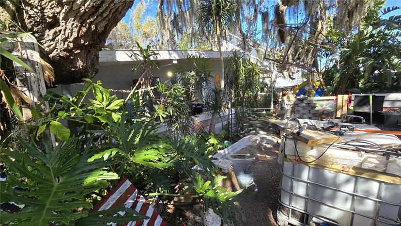 Picture of 603 Cypress Street, Tarpon Springs FL 34689