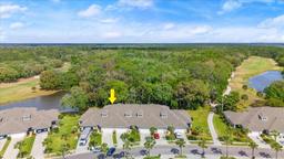 Picture of 1921 Turnbull Lakes Drive, New Smyrna Beach, FL 32168