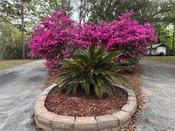 Picture of 4540 W Sandy Hill Street, Lecanto, FL 34461