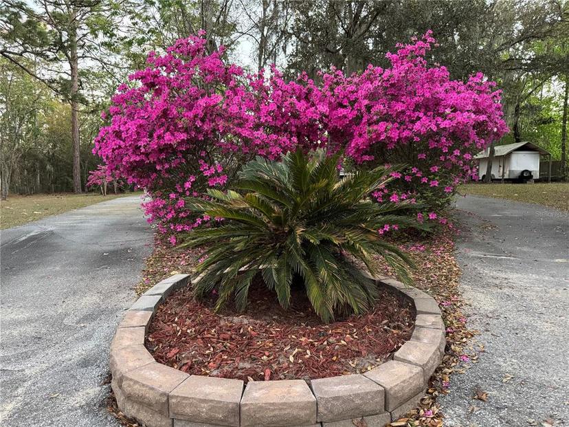 Picture of 4540 W Sandy Hill Street, Lecanto FL 34461