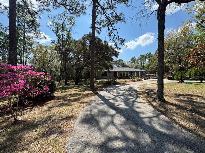 Picture of 4540 W Sandy Hill Street, Lecanto FL 34461