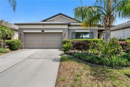 Picture of 11638 Palmetto Pine Street, Riverview, FL 33569