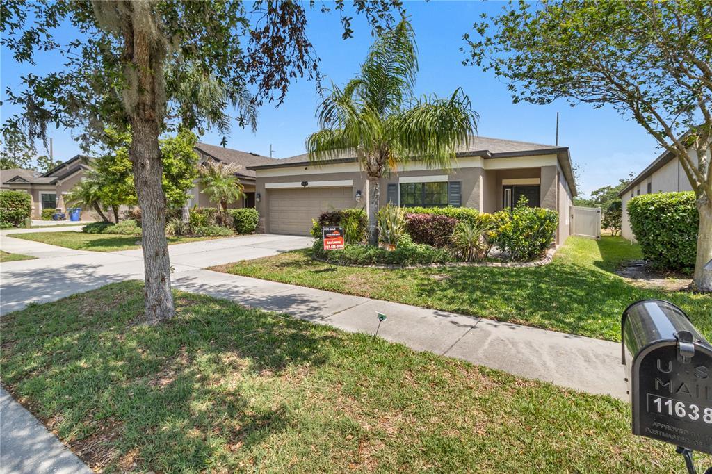 Picture of 11638 Palmetto Pine Street, Riverview, FL 33569