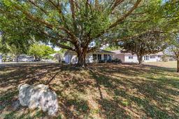 Picture of 9077 SW 91St Circle, Ocala, FL 34481