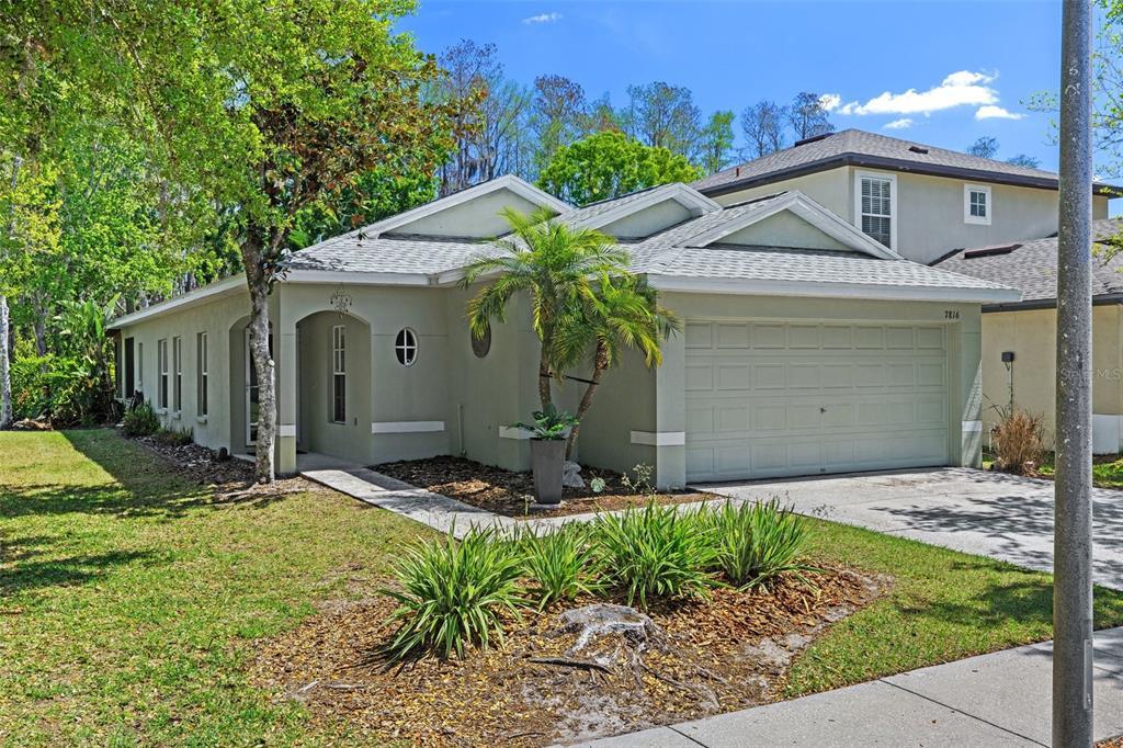 Picture of 7816 Citrus Blossom Drive, Land O Lakes, FL 34637