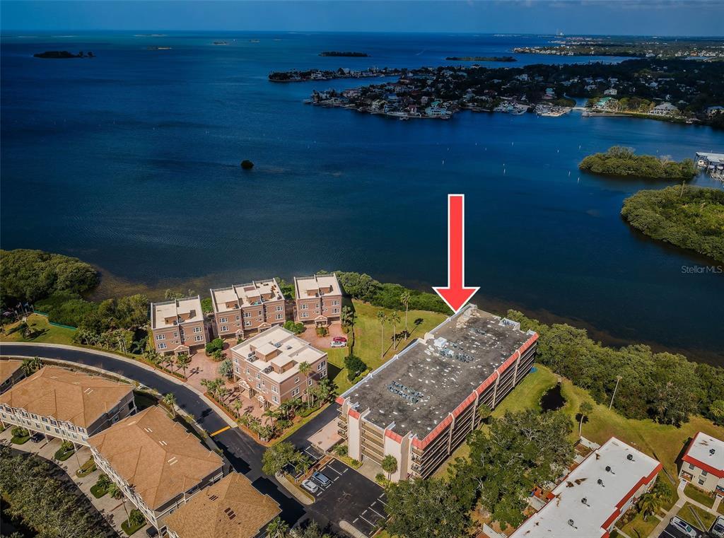 Picture of 2700 Bayshore Boulevard Unit 9209, Dunedin, FL 34698