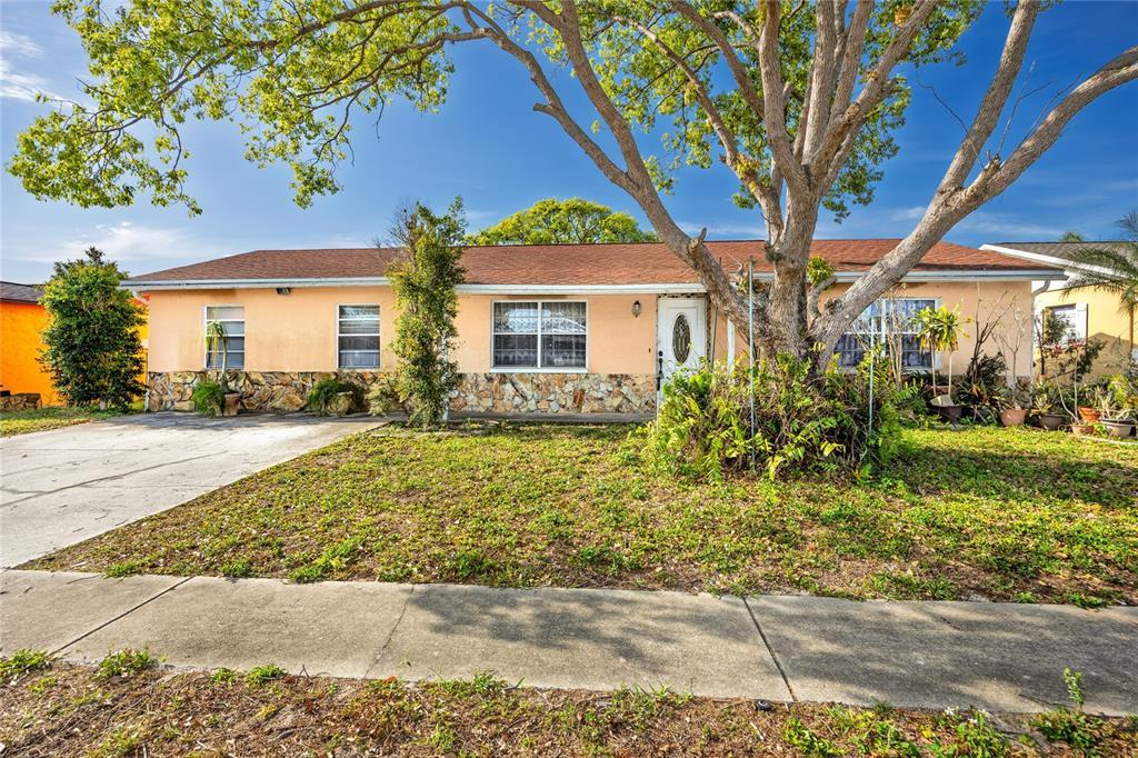 Picture of 6226 12Th Avenue, New Port Richey, FL 34653