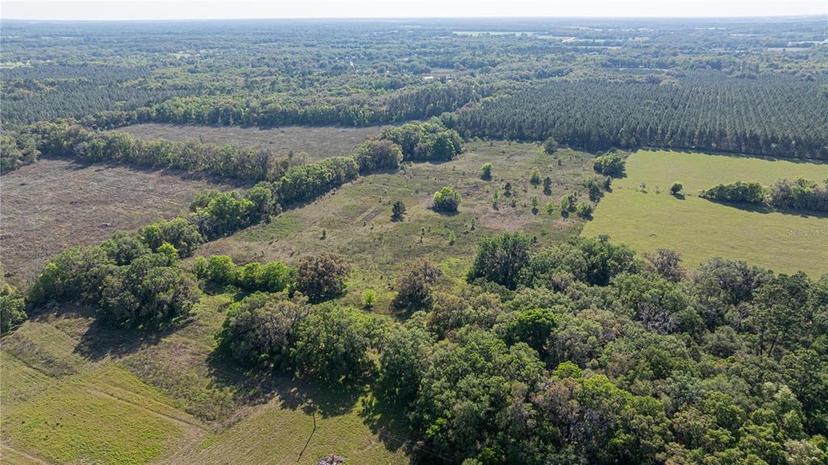 Picture of 2390 NE 212 Court, Williston FL 32696