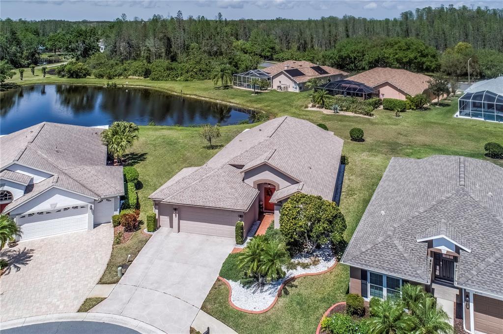 Picture of 20721 Nectarine Place, Land O Lakes, FL 34637