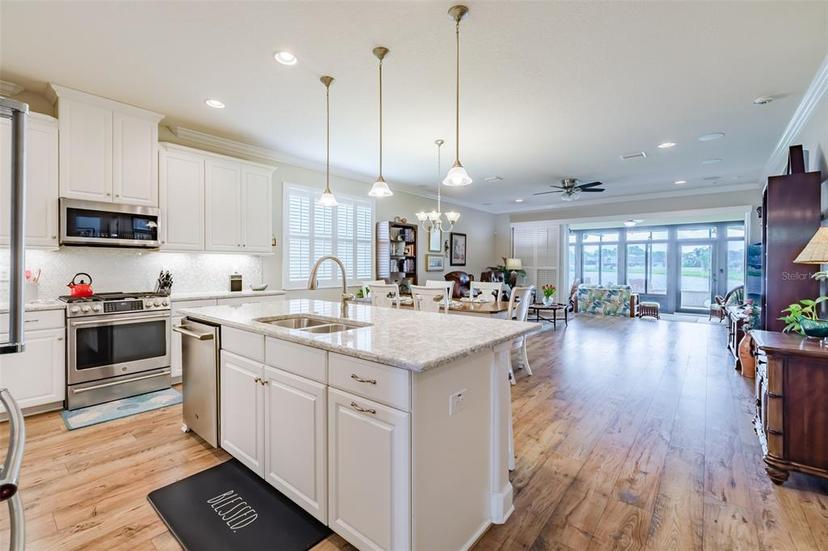Picture of 17609 Buckingham Garden Drive, Lithia FL 33547