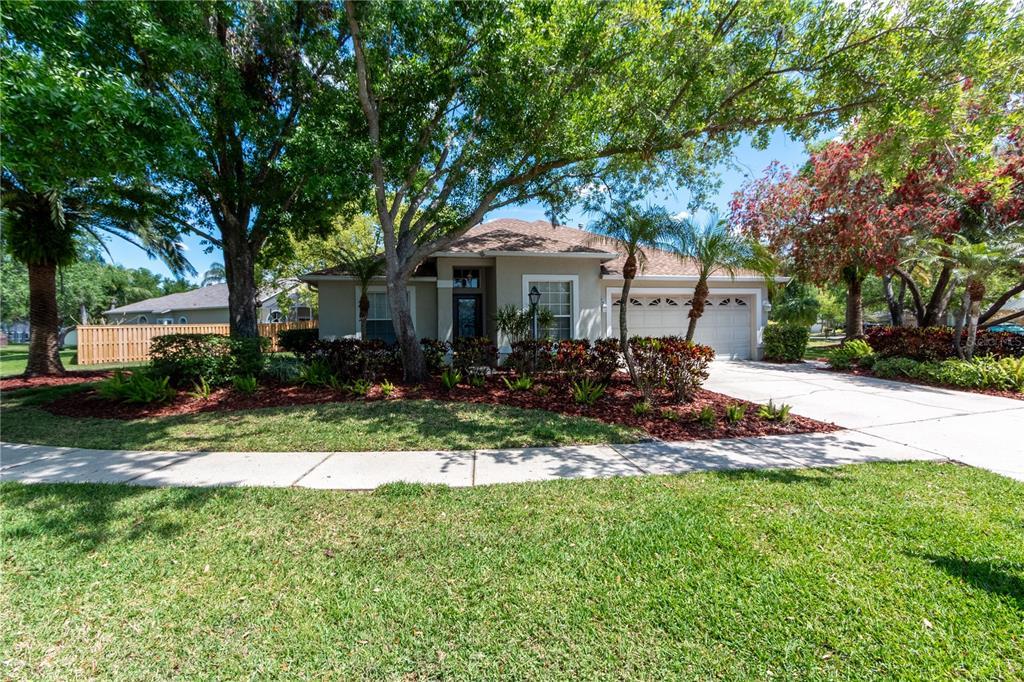Picture of 11704 Derbyshire Drive, Tampa, FL 33626
