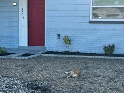 Picture of 3615 Kingsbury Drive, Holiday, FL 34691