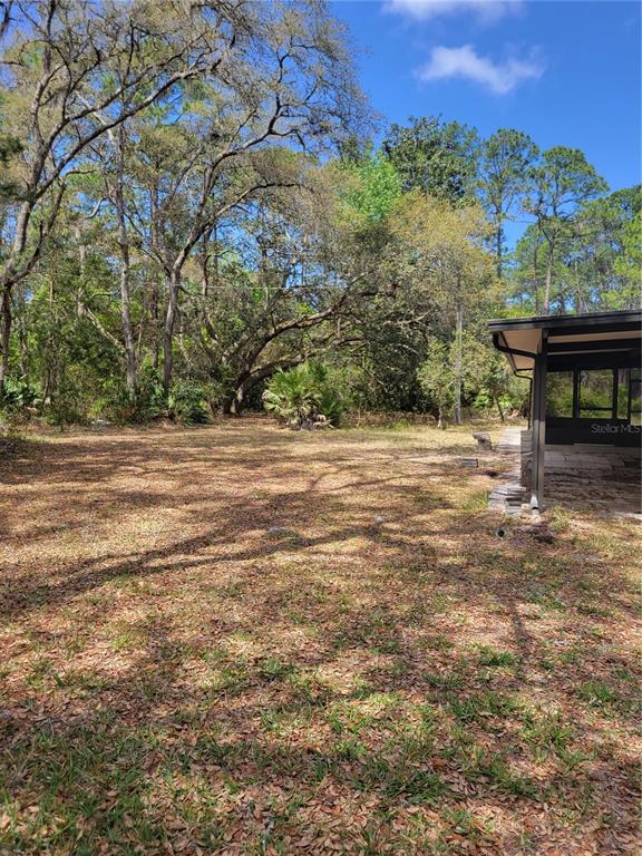 Picture of 105 Hyacinth Court, Georgetown FL 32139