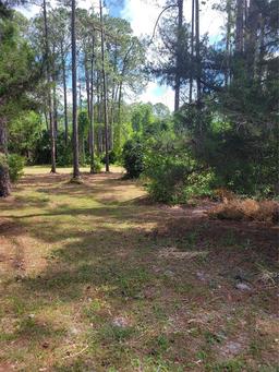 Picture of 105 Hyacinth Court, Georgetown, FL 32139