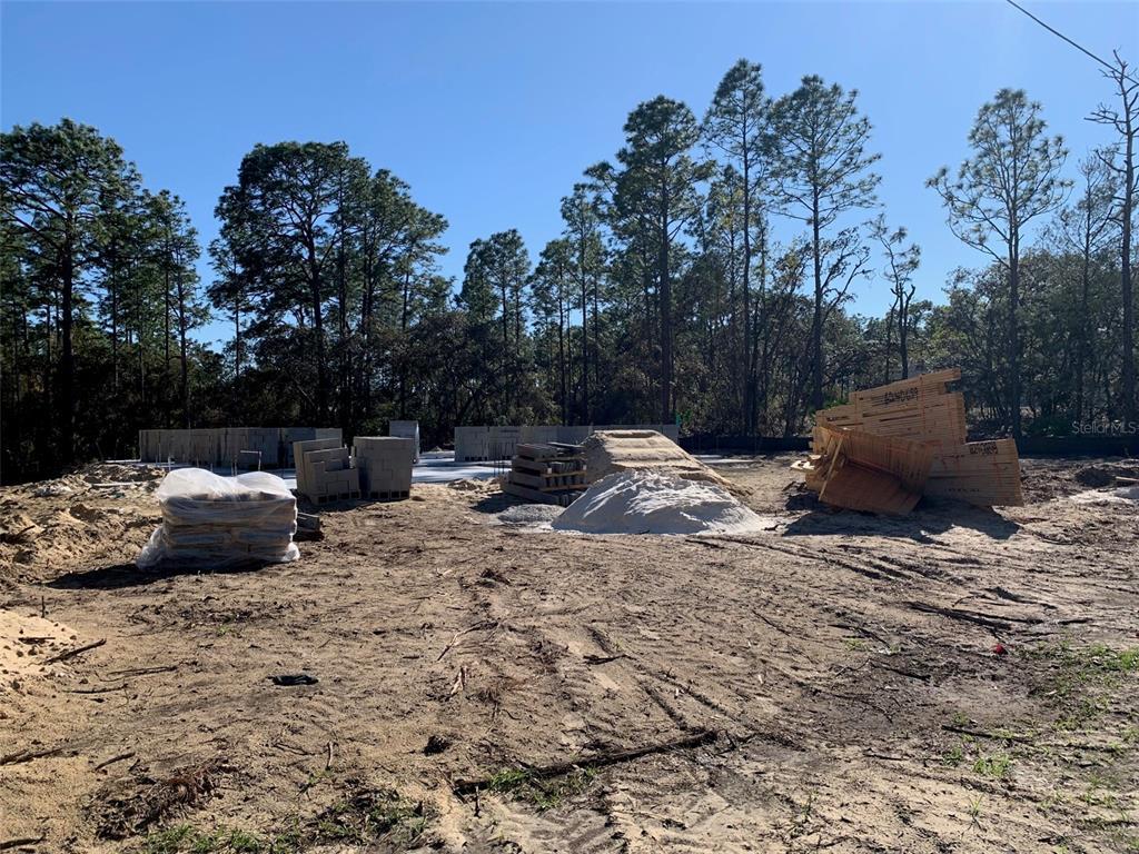 Picture of 6254 W Deadwood Lane, Beverly Hills, FL 34465