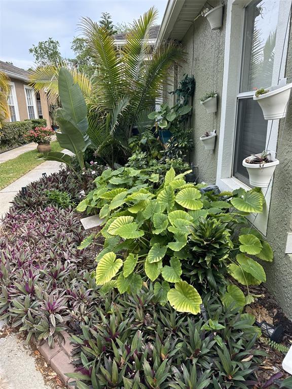 Picture of 19113 Doves Landing Drive, Tampa FL 33647