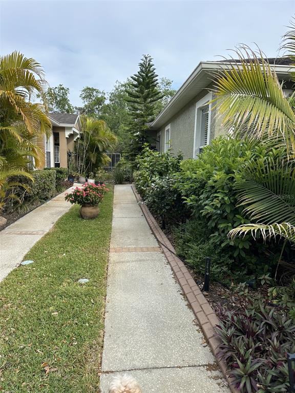 Picture of 19113 Doves Landing Drive, Tampa FL 33647