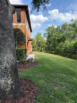 Picture of 30042 Mossbank Drive, Wesley Chapel, FL 33543