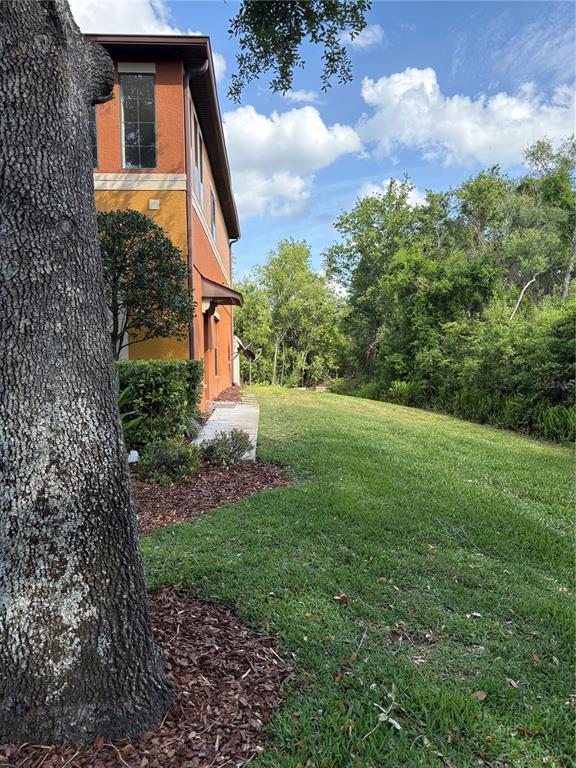 Picture of 30042 Mossbank Drive, Wesley Chapel FL 33543