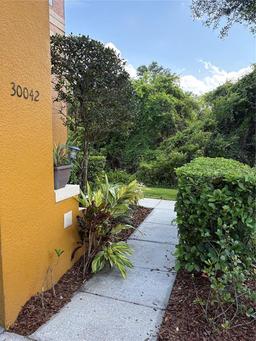 Picture of 30042 Mossbank Drive, Wesley Chapel, FL 33543