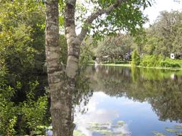 Picture of 13949 Friendship Lane, Odessa, FL 33556
