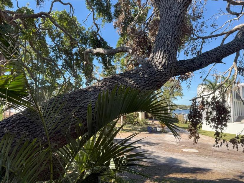 Picture of 1612 Pocatello Street, Sarasota FL 34231